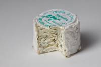 oreiller de ciboulette