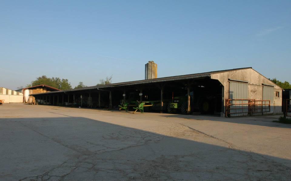 engarre à vaches