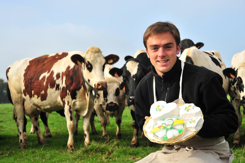 Pierre avec des vaches Normandes