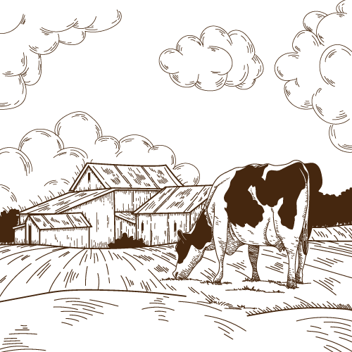 dessin d'une vache au milieu d'un pré